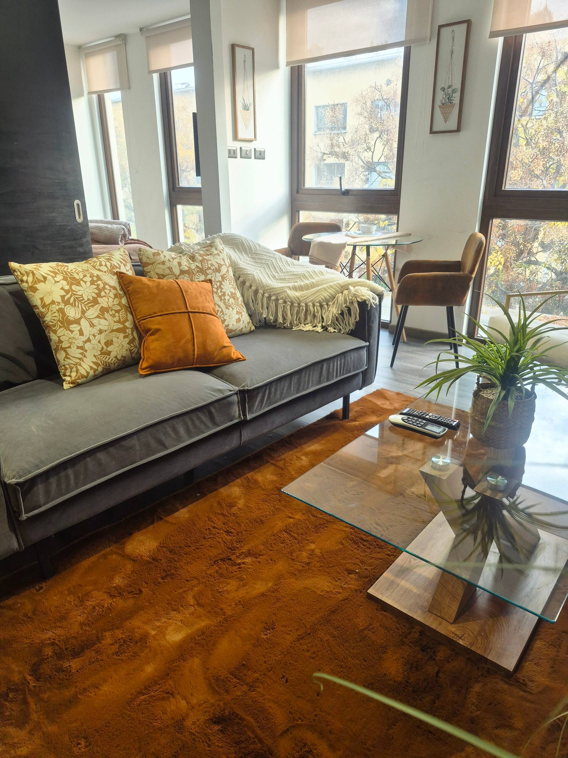 Foto bulnes-425